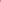 Shocking Pink Hoops